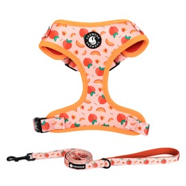 COOWONE Dog Leash and Harness Set, Soft Lightweight Mesh Step-in Puppy Harness, No Pull No Choke Adjustable Puppy Harness for Small Medium Dogs