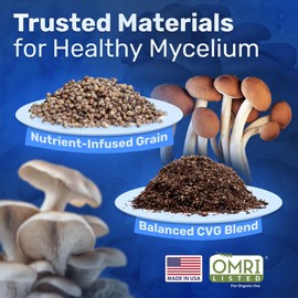 Surfin' Spores All-in-One Mushroom Grow Kit | Mushroom Kit | 6 lb Grow Bags, Monotub Refill | Includes 2 lb Sterile Grain Bag with Injection Port & 4 lb Organic CVG Substrate | Spores Not Included