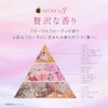 [Bulk Purchase] Masheri MA Cheree Fragrance Body Soap Refill x