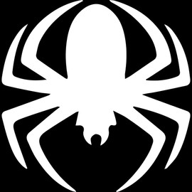 Transparent Decal Stickers of Animal Cold Year of Spider (White) Premium Waterproof Vinyl Decal Stickers for Laptop Phone Accessory Helmet Car Window Mug Tuber Cup Door Wall Dec ANDSKUS060681WH080322