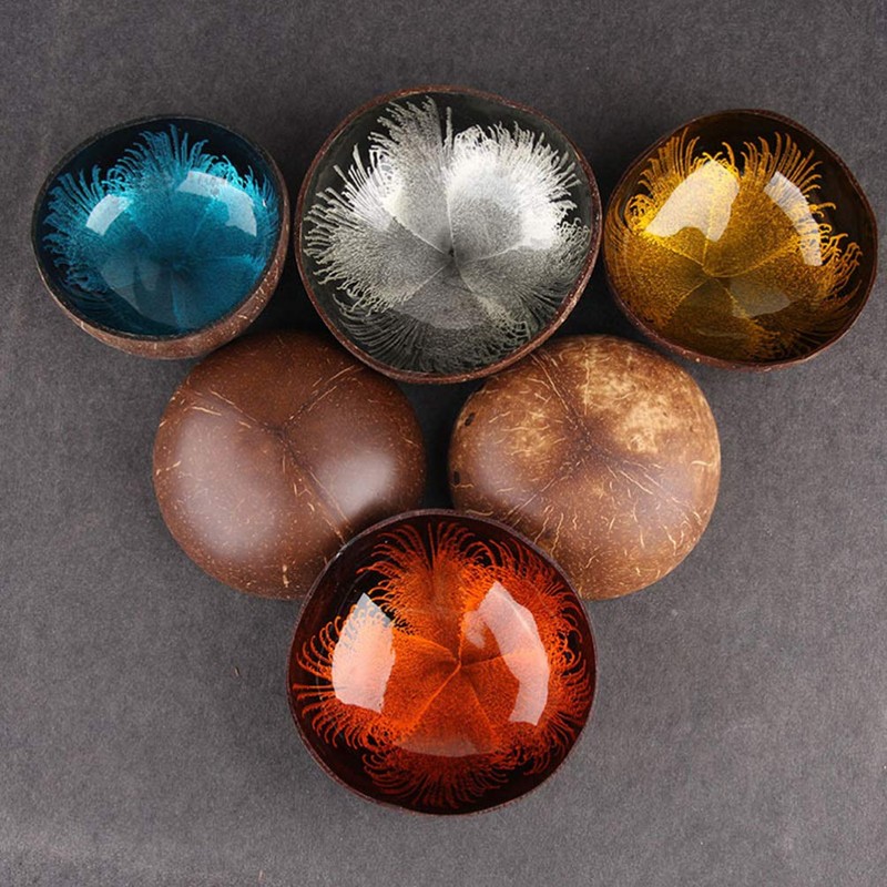 HEMOTON Coconut Bowls Natural Coconut Shell Bowl Decorative Key Storage