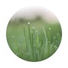 Rain Drops Dew Lawn Green Grass Summer Pop Mount Socket