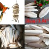 Unbranded 3.9Inch 30PC 10CM Long Cuttlebone Bone Sepia Fish Bird