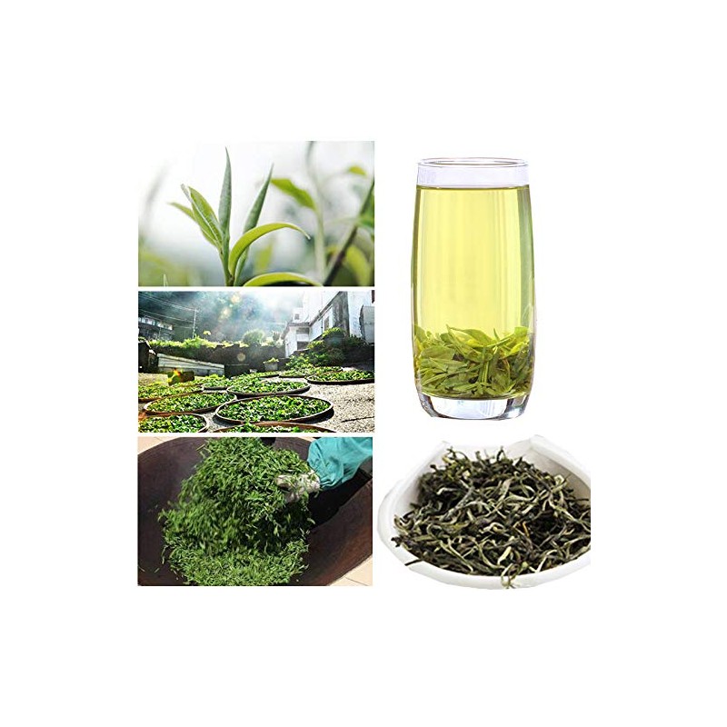 Early Spring Maojian Green Tea 12.34oz bulk Spring Tea before