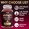 Kwala Nutrition Shilajit Gummies for Men & Women | Sugar