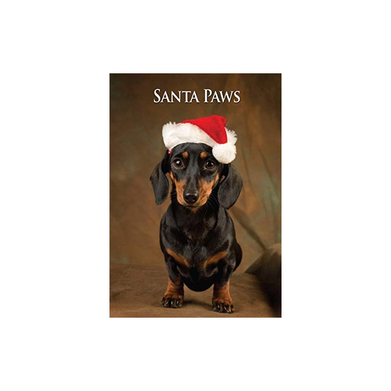 Miniature Dachshund Dog Christmas Card by Charles Sainsbury-Plaice. Large A5