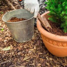 GARDENWISE Premium Eucalyptus Wood Mulch for Indoor, Patio, Potting Media, Gardens, Lawns, and Landscaping (0.5 CF - 14 L - 15 QTS)