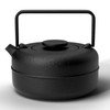 Toptier Teapot with Removable Infuser, Cast Iron Tea Kettle Stovetop