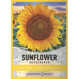 Giant Sunflower Seeds for Planting Flowers - (Skyscraper) is an Open-Pollinated, Non-GMO Sun Flower Variety- Tall Yellow Sunflower Seeds Great for Outdoor Flower Gardening by Gardeners Basics