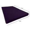 Danfuton Twin Lounger Folding Foam Mattress, Foldable Sofa Bed Sit