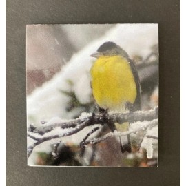 Tikastrinkets.com One Magnetic Bookmark Stocking Stuffer w/ American Goldfinch, Seasons Greetings