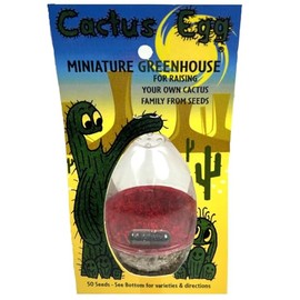 Arizona-Sun Cactus Egg Miniature Greenhouse, Yellow Packaging