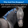 SU-PER First Response Equine Prebiotics Paste - Horse Digestion Supplement