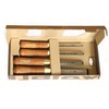 Narex Premium Bevel Edge Chisel Set with Stained Hornbeam Wood