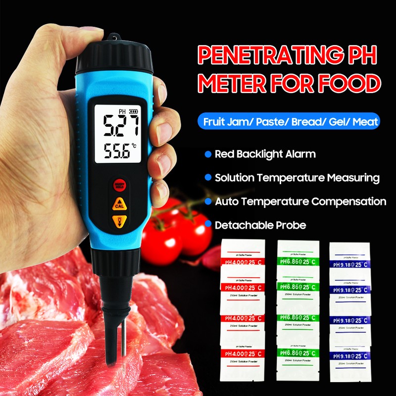 SMART SENSOR PH818M PH Meter for Food Processing 2 in