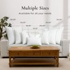 Ashler Home Deco 12x20 Pillows Insert (Set of 2) -