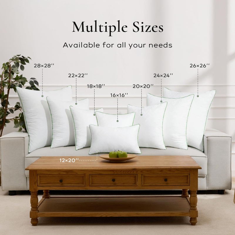Ashler Home Deco 12x20 Pillows Insert (Set of 2) -