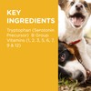 PAW by Blackmores Complete Calm Multivitamins for Dogs | Helps