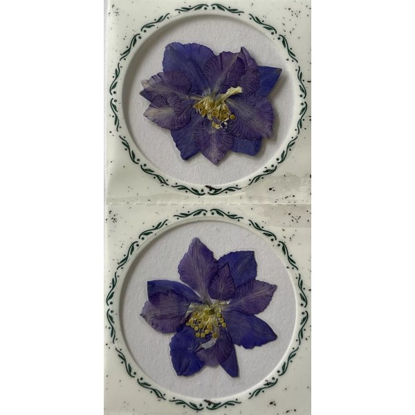 Unbranded PURPLE FLOWER PRESSED & DRIED REAL FLOWERS(2pc)Le