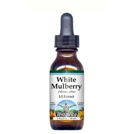 White Mulberry (Morus alba) Glycerite Liquid Extract (1:5) - No Flavor (1 oz, ZIN: 512733)