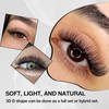 CharmO'clock 3D Individual Lashes D Curl 10mm Length Professional Eyelash