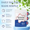 SZDM Balance Patch 60 Patches, Gentle Weightless Support 2 Month