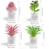 rhinocats 3D Plant Fridge Magnet, 4Pcs Cute Succulent Magnets for