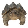 Hi-Line Gift Snapping Turtle Garden Statue Lifelike Yard Decor Wildlife