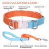 AIITLE Upgraded Dog Harness with Lead, No Pull Adjustable Lightweight