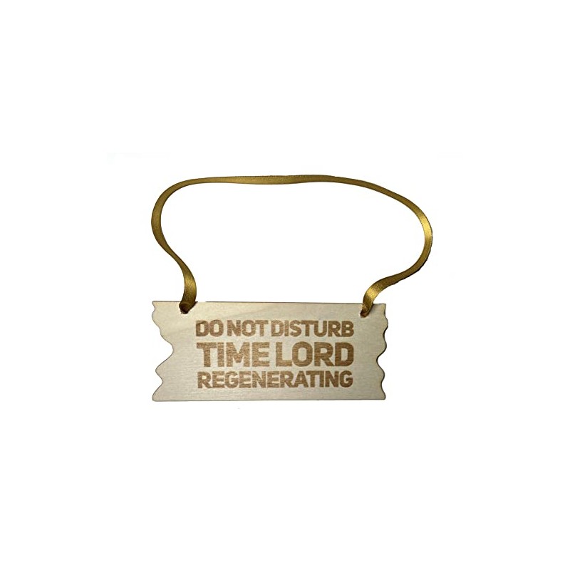 Bedroom Door Sign, Do Not Disturb Time Lord Regenerating