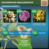 Inner Balance® St. John's Wort Valerian Passion Flower Capsules High