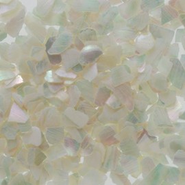 Pika Ace #341 Nail Powder, Shell Grain, S, White, 0.04 oz (1 g), Art Material