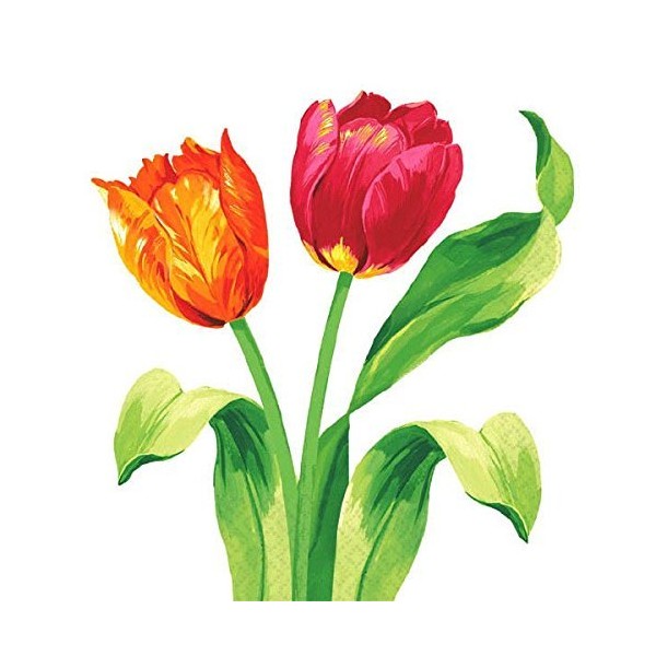Amscan Bright Tulips Beverage Napkins, 16 Ct. | Party Tableware