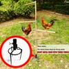 Paiaojia Chicken Perch Toys for Coop & Backyard Chickens, Large