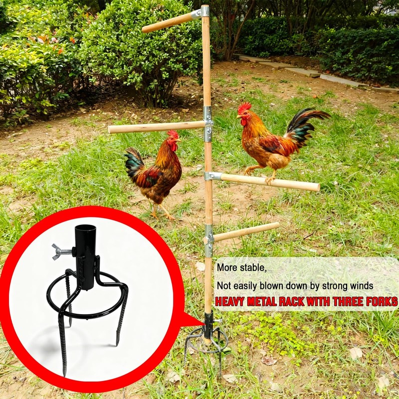Paiaojia Chicken Perch Toys for Coop & Backyard Chickens, Large