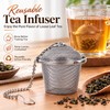 Stainless Steel Tea Infuser Ball for Loose Leaf Tea –