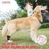 BUVUB Dog Canine Knuckling Brace Front Paw Rear Leg Dog