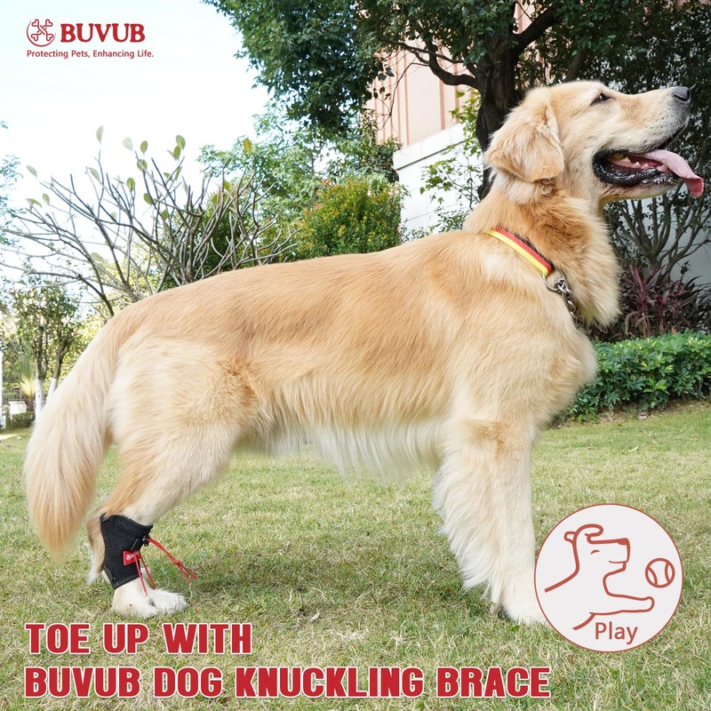 BUVUB Dog Canine Knuckling Brace Front Paw Rear Leg Dog