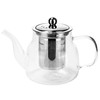 Loose Leaf Tea Set, Gift Set with Heat Resistant Teapot,