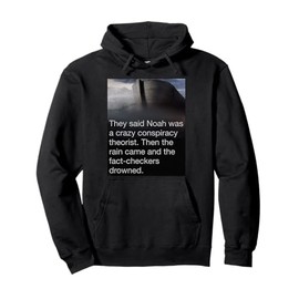 Noah Guy Faithful & Awake Christian Conspiracy Truth The Ark Pullover Hoodie