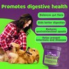 Petlii PROBIOTIC CHEWS - dog probiotics for gut health -