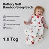 BubblePanda Rayon Made from Bamboo Sleep Sack 2t-3t 1.0 Tog