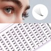 COAST GIRL Premade Fans Eyelash Extensions 3D 4D 5D 6D