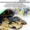 NORITEN Japanese Snacks Tempura Seaweed Snacks Made in Japan (Wasabi,