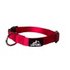 Nylon Dog Collar by Wild Willow (Red, Medium 14-20")