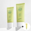 goodall [Total 75ml/SET] Goodal Clear Houttuynia Cordata Moisture Sun Cream