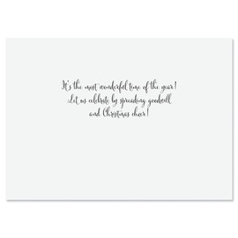 Colorful Images Winter Cardinal & Dogwood Christmas Card by Danielle Murray - Set of 24 Cards, Envelopes and Seals, Card Stock, 5 x 7 Inches