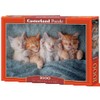 Castorland 1000 Piece Jigsaw Puzzle: The Cutest Kittens