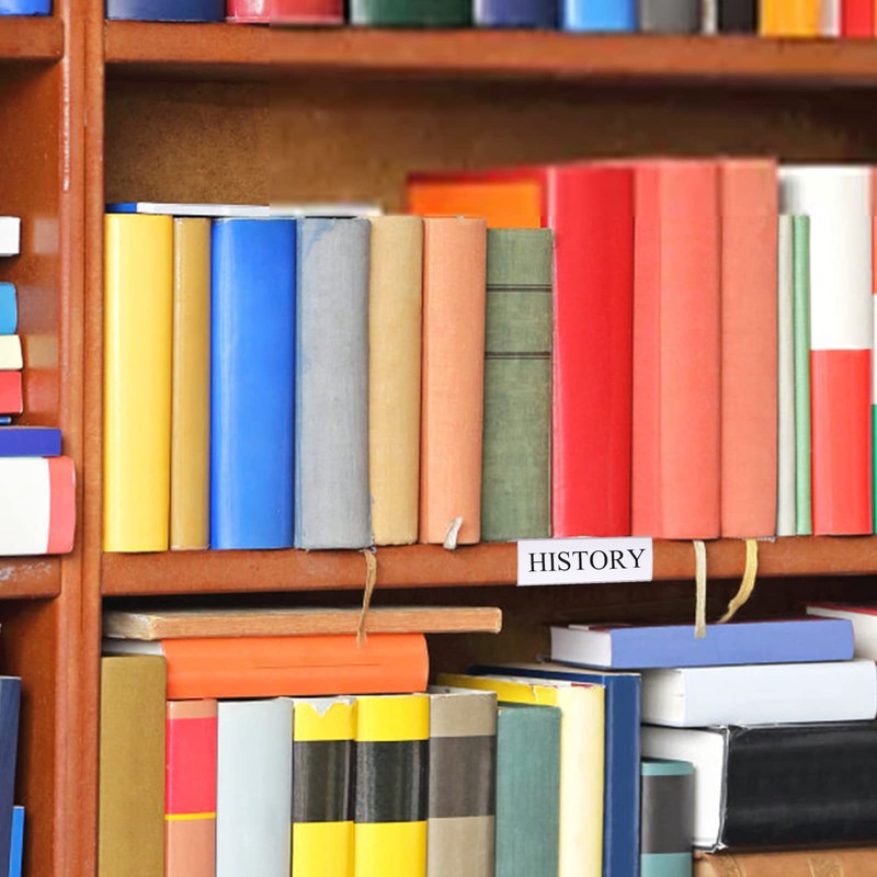 Hedume 100 Pcs Plastic Label Holder with 100 Pcs Label