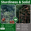 Thealyn 56" Tall Metal Plant Trellis, Climbing Plant Support, 4